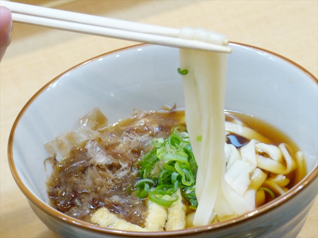 Food-udon_P1470565_R